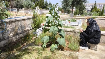 Anneler Günü'nde Feray Şahin için adalet çağrısı: "Başka anneler ağlamasın"