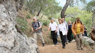 Antalya'nın tarihi yürüyüş rotaları yenileniyor: Likya Yolu'nun yönlendirme direkleri yenilendi