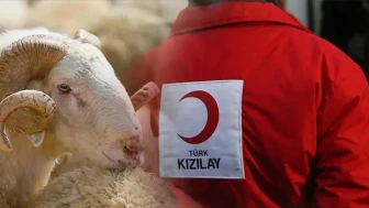 Kurban Bayramı'nda devrim: Kızılay'dan sabit fiyatlı vekalet kurban kampanyası