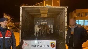 Enez'de drone ile yakalanan hırsızlar: Ahırdan 6 hayvan çaldılar