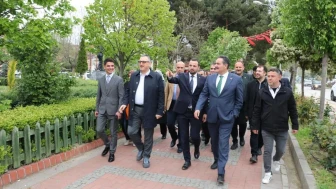 Taşova'da yatırım hamlesi: Milletvekilleri projeleri yerinde inceledi