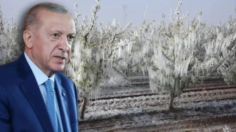 Erdoğan'dan çiftçilere destek müjdesi: Don olayının ardından TARSİM yardımları devrede