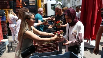 Antalya Büyükşehir Belediyesi'nden Anneler Günü'nde 25 bin çiçekle duygusal jest