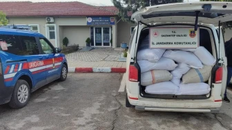 Jandarma milyonluk kaçağa el koydu: 3 bin 250 kilogram kaçak tütün ele geçirildi