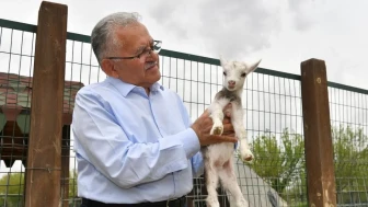 Başkan Büyükkılıç, hayvanat bahçesini ziyaret etti