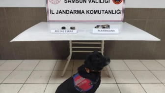 Samsun'da uyuşturucu operasyonu: Şüpheli yakalandı