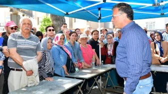 Üreticilere yerli tohumdan fide desteği: Alaşehir Belediyesi'nden 70 bin sebze fidesi