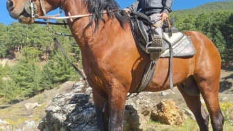 800 yıllık geleneğe genç nefes: Rahvan at yarışlarında 8 yaşındaki jokey göz kamaştırdı