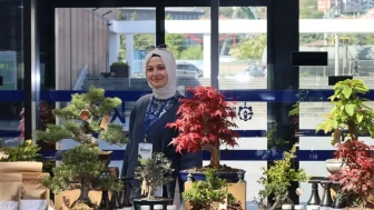Bonsai sanatına dair her şey: V. Ulusal Bonsai Sergisi Kocaeli'nde gerçekleşti