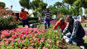 Antalya'da Çiçek Desenleri Günleri'ne hazırlıklar tamamlandı: 115 bin dal çiçek sergilenecek