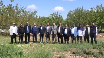 Malatya kayısı üreticileri yardım bekliyor: Devlet acil müdahale etmeli