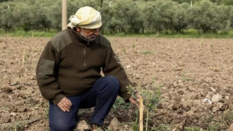 Yunusemre Belediyesi, 21 bin fidanla kırsal kalkınmada yeni bir adım attı: Üreticiler memnun