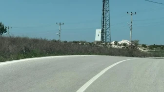 Kaplumbağalara karşı sürücüler uyarıldı: "Hızınızı düşürün, gözünüz yolda olsun"
