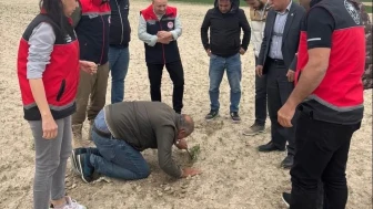 Kulu'da don hasarının izleri sürülüyor: Üreticileri bekleyen destek planları