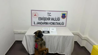 Uyuşturucu Taşıyan Şahıs Yakalandı: Eskişehir'de Jandarma Operasyonu
