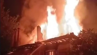 İstanbul'da şiddetli lodos hayatı olumsuz etkiliyor: Ağaçlar devrildi, seferler iptal!