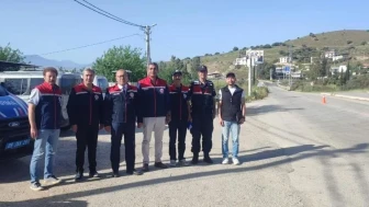 Aydın'da Kurban Bayramı öncesi hayvan denetimleri sıkılaştırıldı: Kaçak hayvan hareketlerine son