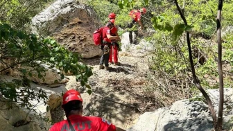 Fethiye'de kaybolan Ateş, zorlu operasyonla kurtarıldı