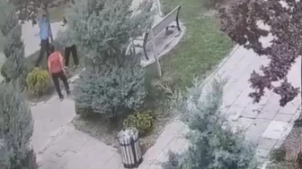 Mazıdağı'nda ağaçlara zarar veren gençler güvenlik kamerasına yakalandı, halk isyan etti