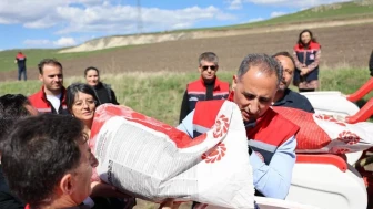 Kars'ta çiftçilere ücretsiz ayçiçeği tohumu desteği: Ekonomik gelişmeye katkı sağlanacak