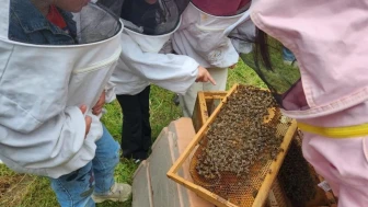 Düzce Üniversitesi'nde minik öğrenciler arıların dünyasını keşfetti