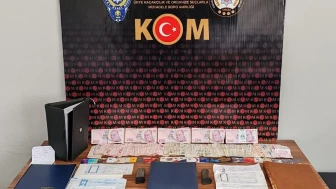 Ordu'da büyük tefecilik operasyonu: İki şüpheli tutuklandı