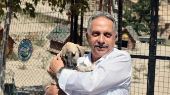 Kayseri Talas Belediyesi pati evi: On binlerce sahipsiz can için yeni bir yuva