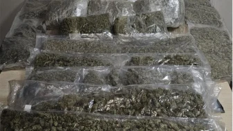 İzmir'de uyuşturucu operasyonu: 19 kilo esrar ele geçirildi