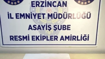 Erzincan'da uyuşturucu şokuyla karşılaşan polis: 9 adet EXTACY ele geçirildi