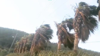 Muğla'da kuvvetli fırtına alarmı! Vatandaşlar için önemli uyarılar