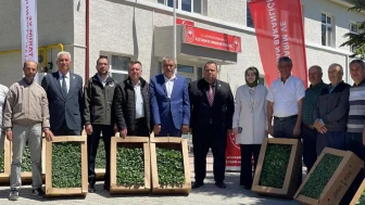 Gölpazarı'nda yerli ve milli fide destekleri çiftçileri sevindiriyor