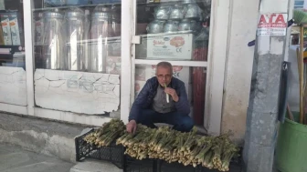 "'Yayla muzu' tezgahları doldurdu! Destesi 50-80 TL'den satılıyor