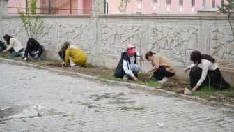 Muş'ta doğaya kadın eli değdi: Öğretmenlerden anlamlı ağaçlandırma