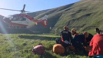 Van'ın Gevaş ilçesinde kayalıkta mahsur kalan kurtarıldı