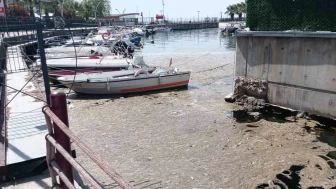 Kocaeli'nde şok karar: Satış pazarı sarsıldı