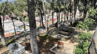 Aydın Valiliği ormanlık alanlara girişleri yasakladı! Jandarma'dan dumansız piknik çağrısı