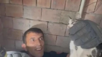 Hatay'da apartman boşluğuna düşen yavru kedi, itfaiye ekipleri sayesinde kurtarıldı