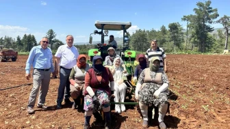 Denizli Milletvekili Ün, Anneler Günü'nü tütün tarlalarında kadınlarla kutladı
