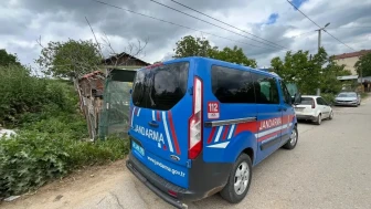 İzmit'te başlarıboş köpeklerin saldırısı: 80 tavuk telef oldu