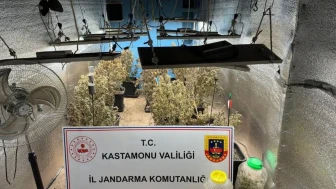 Uyuşturucu operasyonuyla gündeme oturan Kastamonu'da yargılama sürüyor: Çiftlik evleri kenevir serasına döndü
