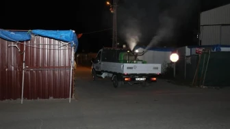 Hatay'da haşereyle mücadele hız kesmiyor: İlaçlama çalışmaları hangi alanlarda gerçekleştiriliyor