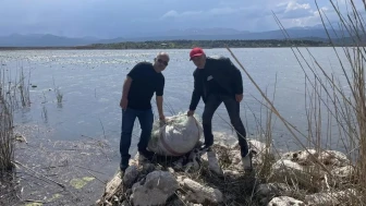 Beyşehir Gölü'nde av yasağı hiçe sayıldı: Yüzlerce metre balık ağı ele geçirildi