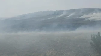 Denizli'nin Çivril ilçesinde korkutan yangın! Kontrol altına alma çalışmaları devam ediyor