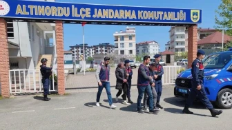 Ordu'da uyuşturucu operasyonu: İki tutuklama, önemli ele geçirmeler