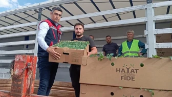 Afyonkarahisar'da 2 milyon TL'lik domates yetiştiriciliği geliştirme projesi ilerlemesini sürdürüyor