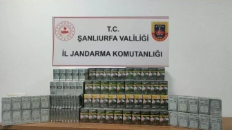 Şanlıurfa'da Jandarma'dan kaçakçılığa darbe: 980 paket gümrük kaçağı sigara ele geçirildi