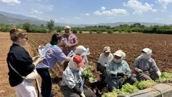 Karacasu'da Anneler Günü'nde karanfil dağıtımıyla unutulmaz jest