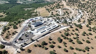 Manisa'da sokak hayvanları için bir devrim: Ege'nin en büyük hayvan yaşam merkezi açıldı