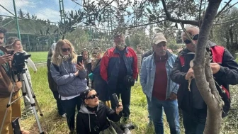 Edremit MYO'da zeytin aşılama eğitimi: Çiftçiler ve öğrenciler yoğun ilgi gösterdi