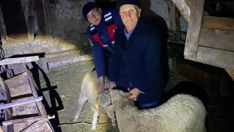 Bilecik'te kaybolan küçükbaş hayvanlar bulundu! Jandarmanın özverisiyle sahibine kavuştu